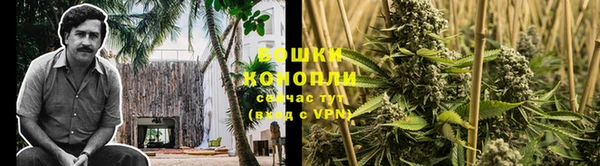 PSILOCYBIN Абдулино