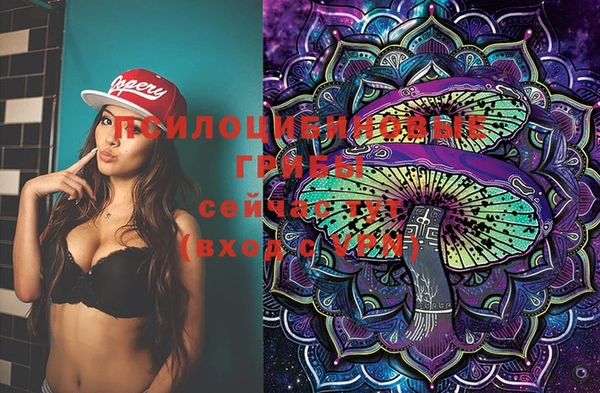 PSILOCYBIN Абдулино