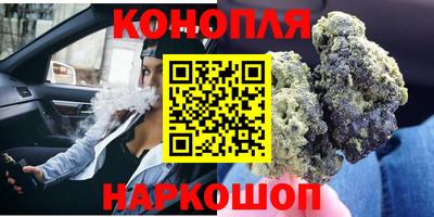 стаф Сланцы