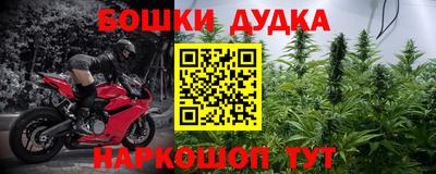 стаф Сланцы