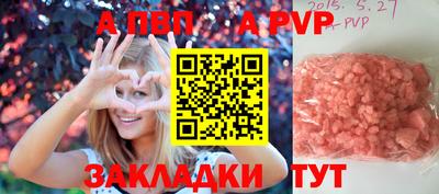 стаф Сланцы