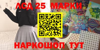 стаф Сланцы