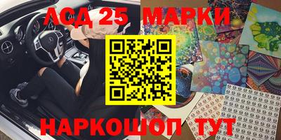 стаф Сланцы