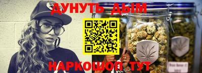 крисы Надым