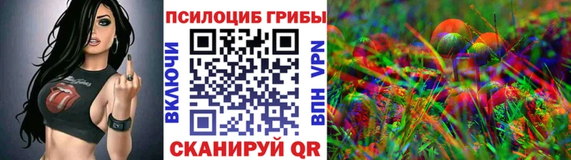 Галлюциногенные грибы Psilocybe  Сатка 