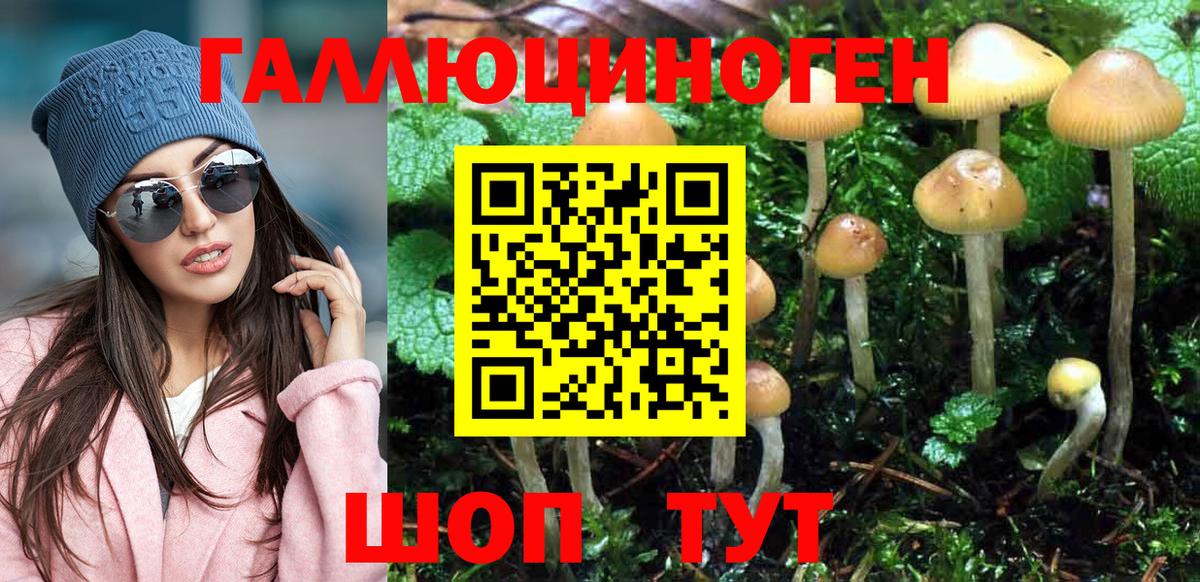 Сатка  Галлюциногенные грибы Psilocybe  Вход с VPN  Псилоцибиновые грибы Magic Shrooms 